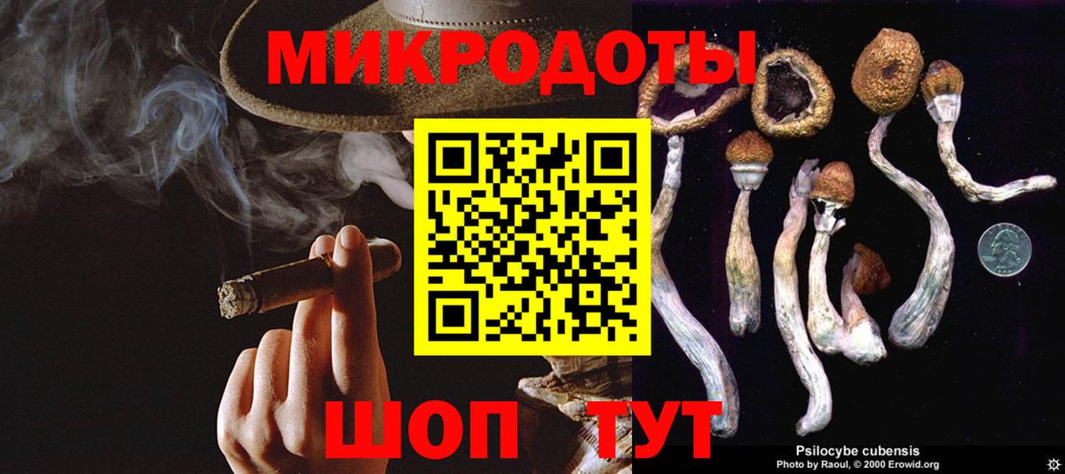 Бийск  Галлюциногенные грибы GOLDEN TEACHER  Вход с VPN 