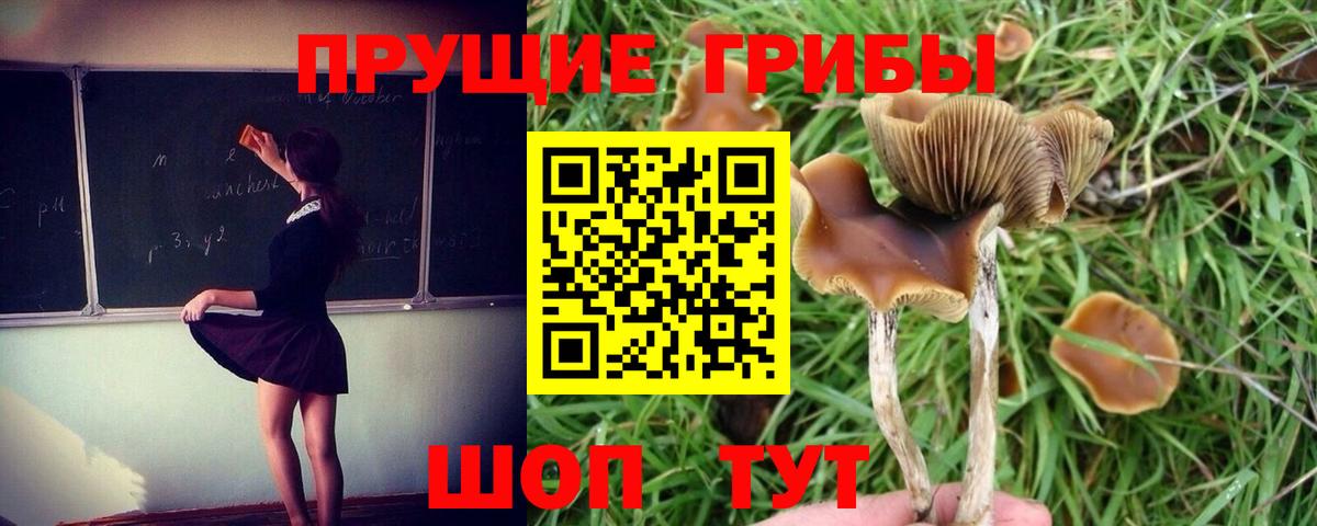 Псилоцибиновые грибы MAGIC MUSHROOMS Бийск